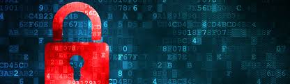 Republix Risk Mitigation Insurance Solutions privacy policy Folsom CA